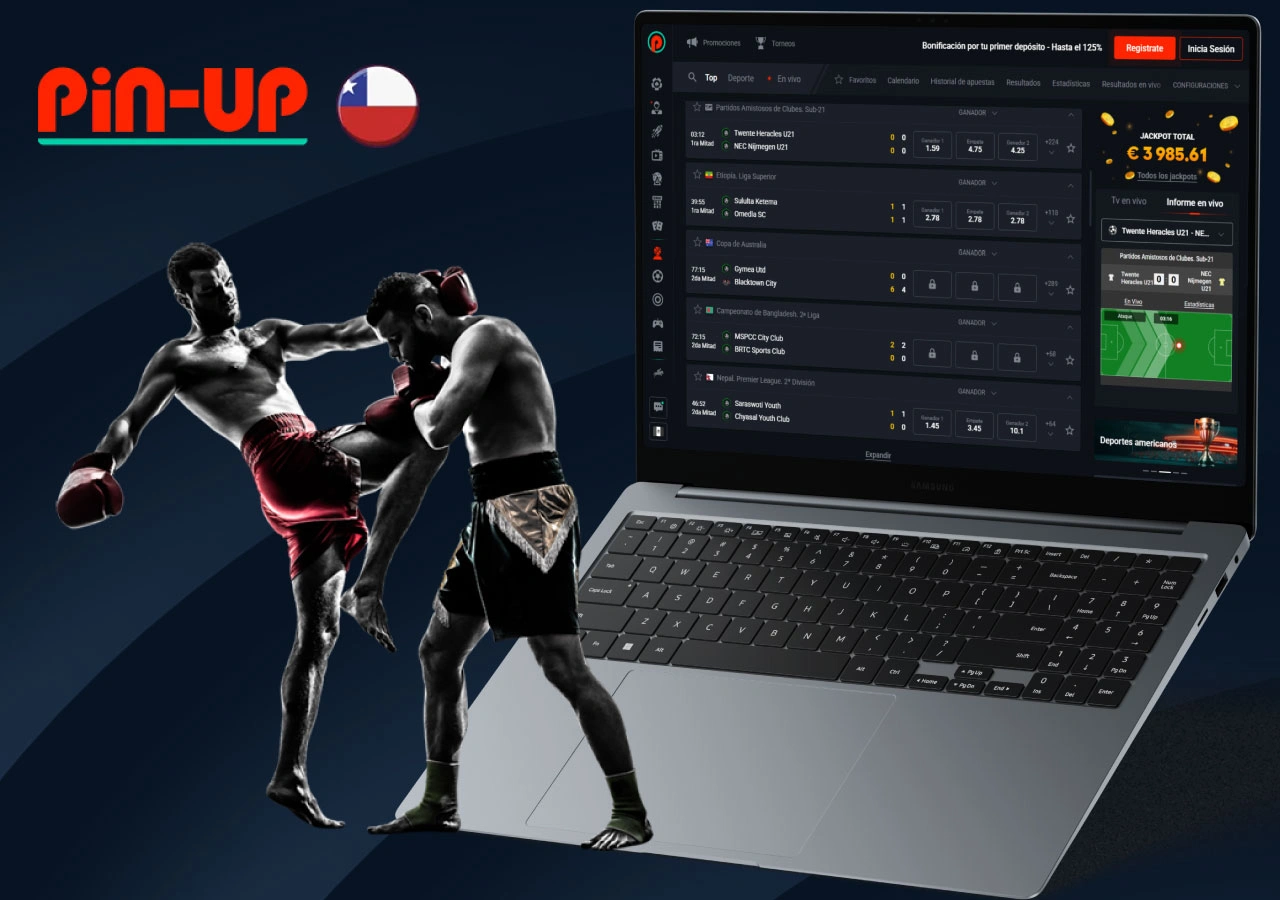 Pin Up Apuestas MMA